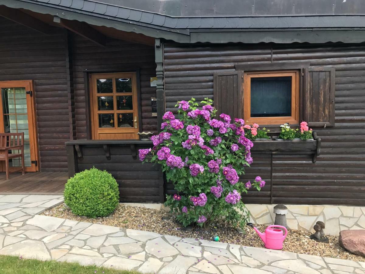 Holzhaus Harz Villa Schielo Kültér fotó
